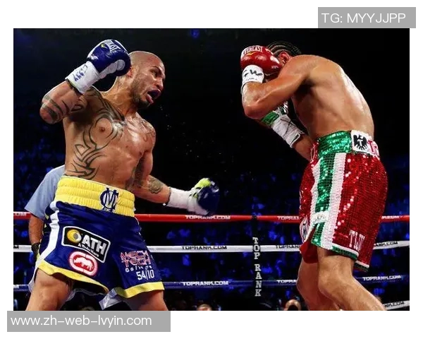 库托与哈顿精彩对决视频回顾分析揭示拳击技巧与战术较量